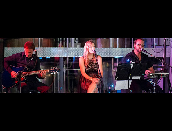 Shimmer Trio Perth - Cover Bands - Musicians Entertainers - Live Band